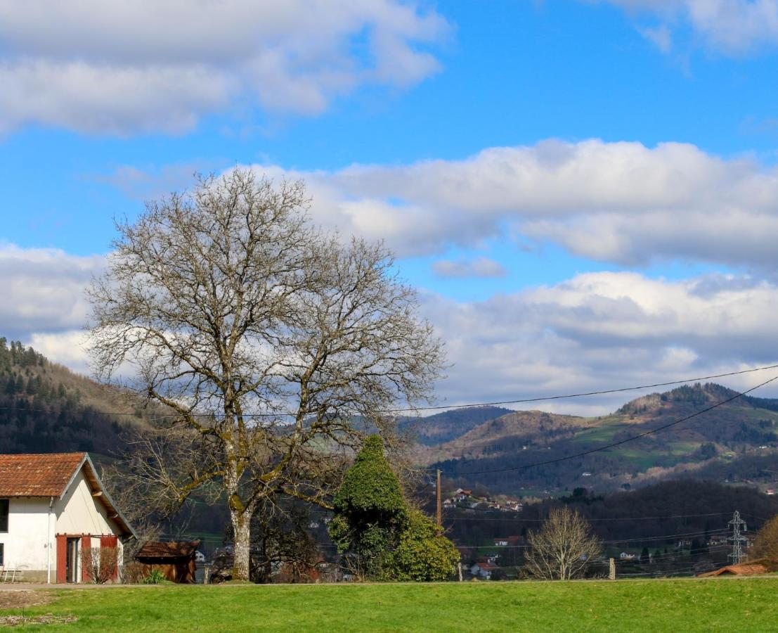 Gite De La Ravanne Ramonchamp Bagian luar foto
